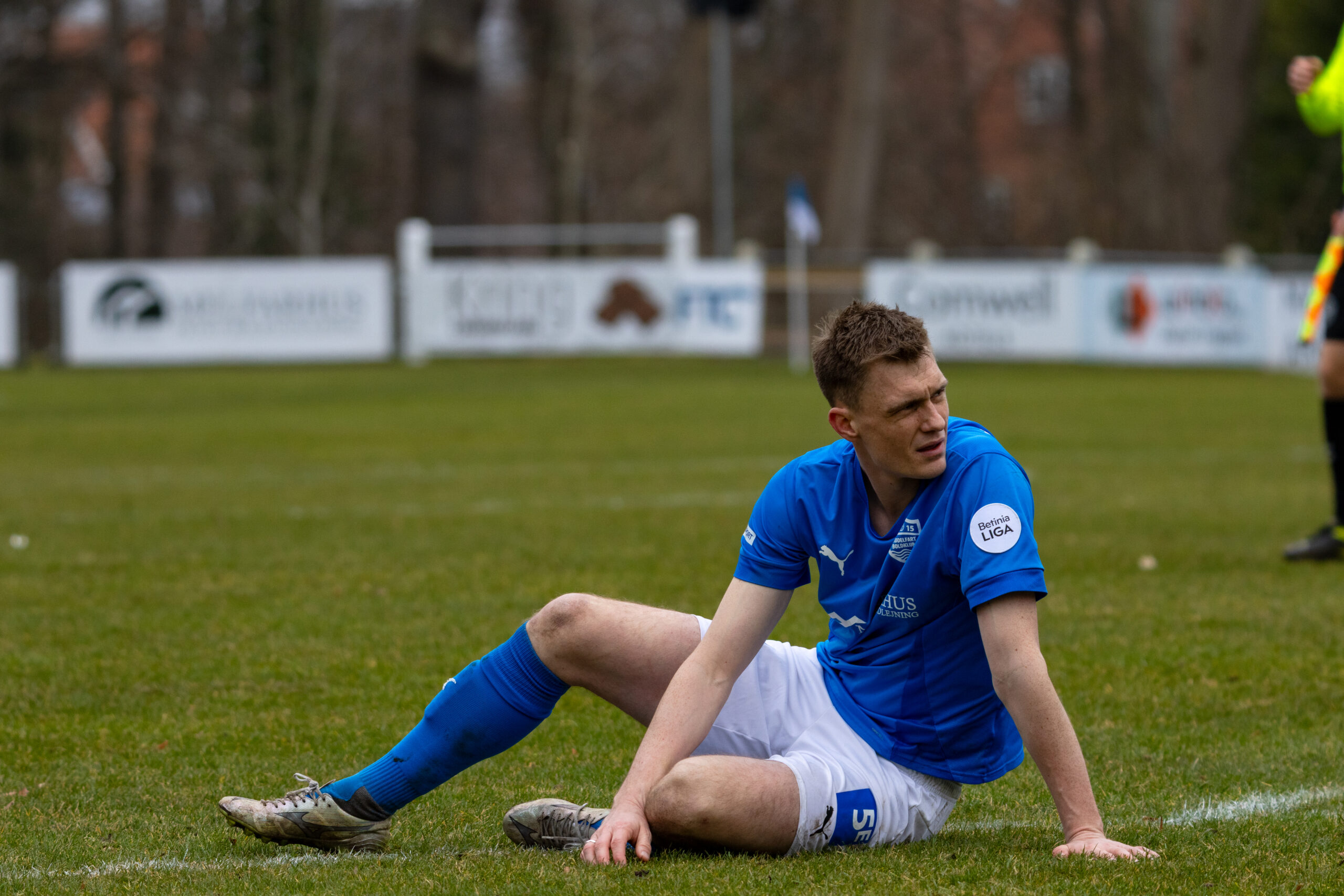 {{brizy_dc_image_alt entityId=